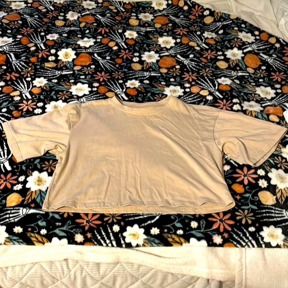Cropped american eagle shirt
